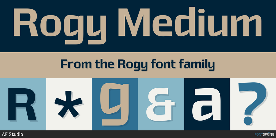 Rogy Medium Font