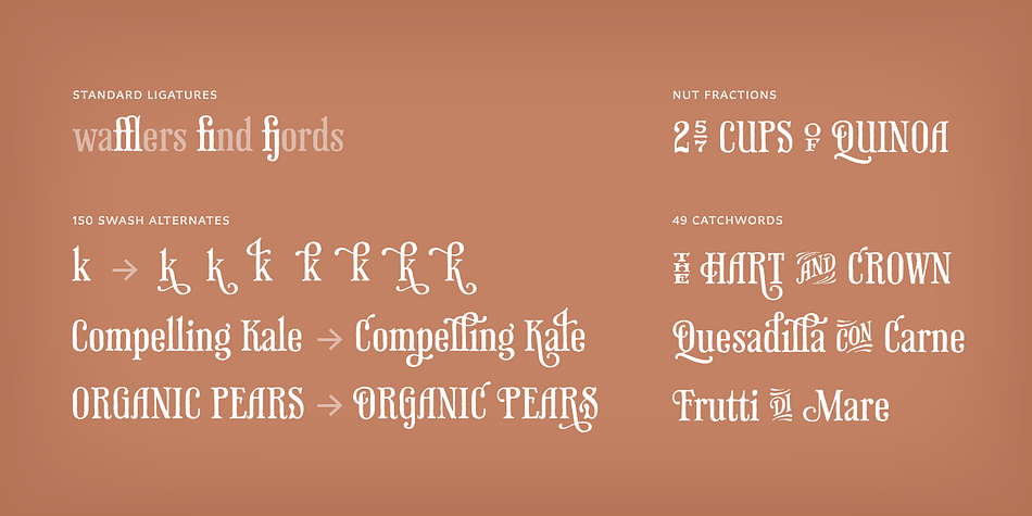 Displaying the beauty and characteristics of the Phaeton font family.