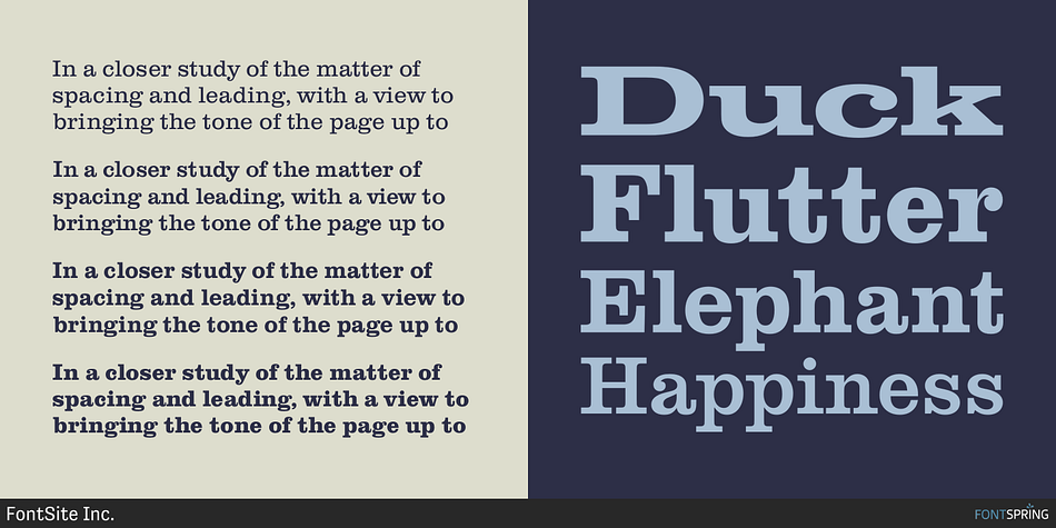 Emphasizing the favorited Clarendon FS font family.