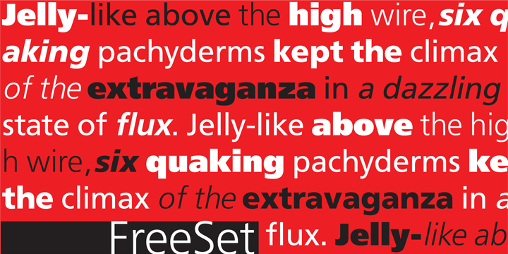 FreeSet Font