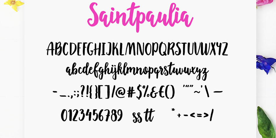 Displaying the beauty and characteristics of the Saintpaulia font family.