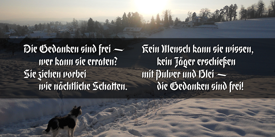 Built from a tightly controlled inventory of lines, arcs, sharp cuts, and OpenType features, Gryffensee was born and raised in the digital age, yet retains the powerful charisma and human warmth of its mediaeval blackletter ancestors.
