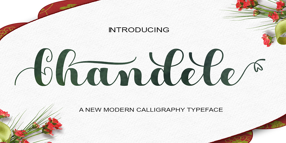 Chandele Script is a stylish calligraphy font that features a varying baseline, smooth line, classic and elegant touch.