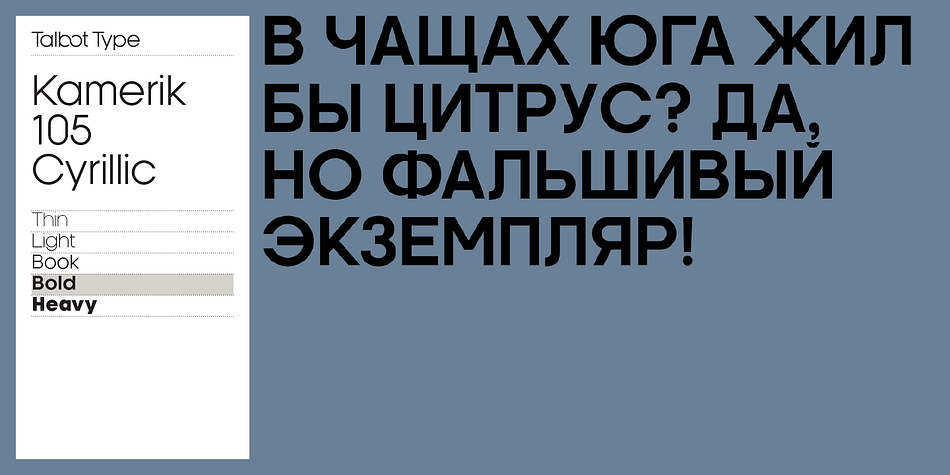 Emphasizing the popular Kamerik 105 Cyrillic font family.