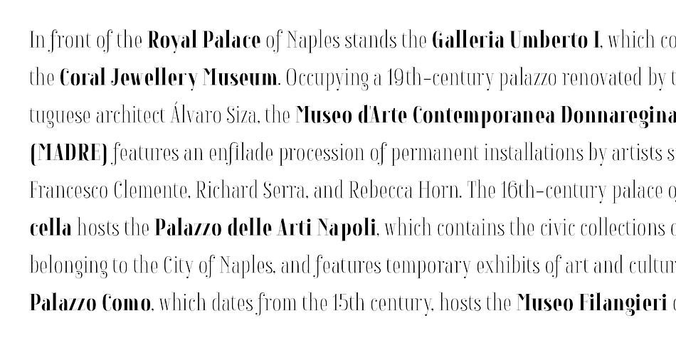 Highlighting the Napolitanka font family.