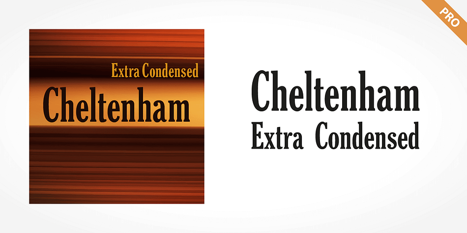 Cheltenham Extra Condensed Pro is one of the fonts of the SoftMaker font library.