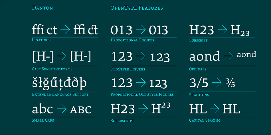 All weights contain small caps, ordinals, ligatures, proportional lining figures, tabular lining figures, proportional old style figures, lining old style figures, matching currency symbols, fraction- and scientific numerals, and arrows.