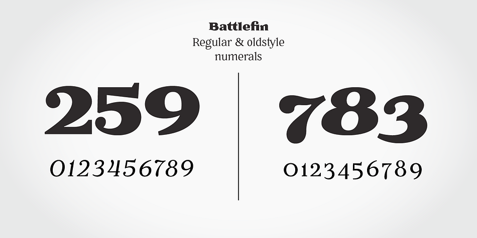 Battlefin font family sample image.