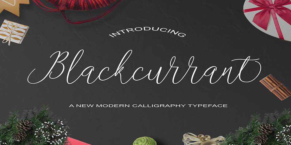 Blackcurrant Script is a stylish calligraphy font that features a varying baseline, smooth line, classic and an elegant touch.