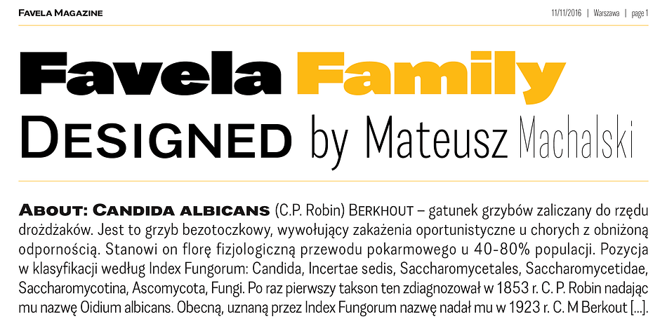 Favela is an experimental, geometric and sans serif type family.