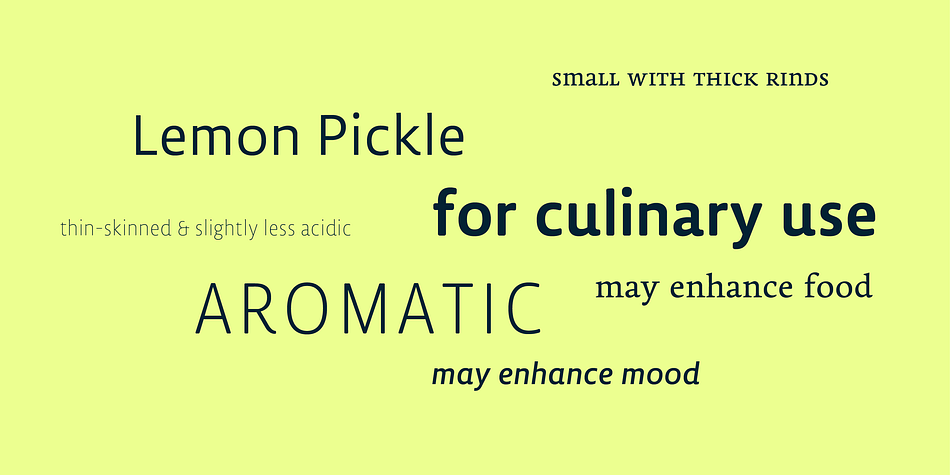 Displaying the beauty and characteristics of the Lemon Sans font family.