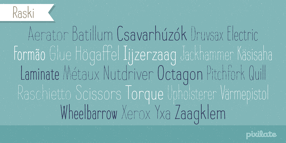 Displaying the beauty and characteristics of the Raski font family.
