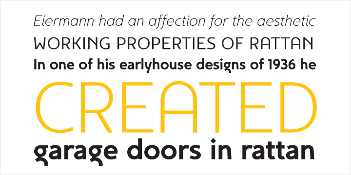 Displaying the beauty and characteristics of the Egon Sans font family.