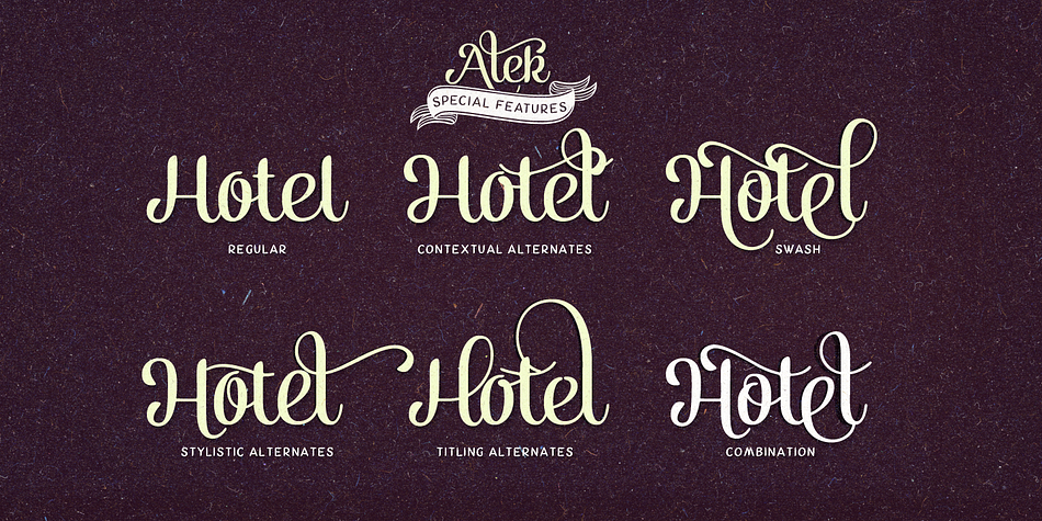 Emphasizing the popular Alek font family.