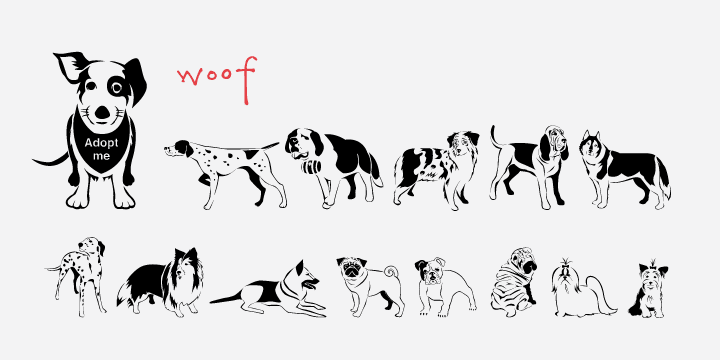 Displaying the beauty and characteristics of the Woof font family.