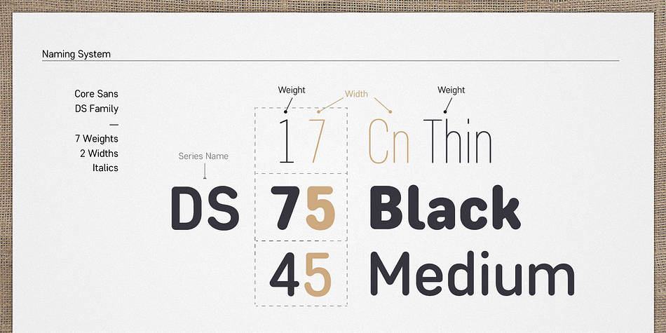 Core Sans DS features a condensed geometric construction and has a large x-height which enhances legibility.