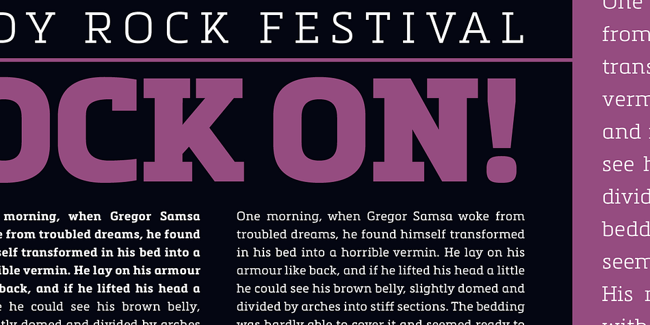 Displaying the beauty and characteristics of the Metronic Slab Pro font family.