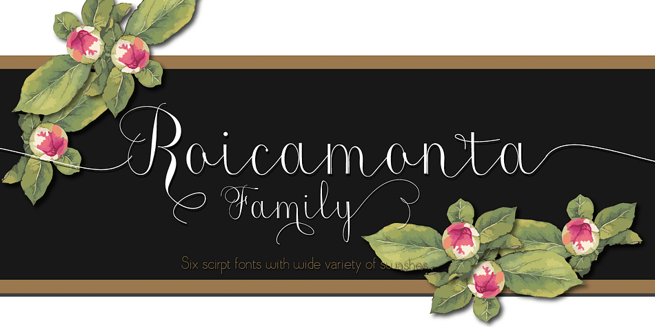 Roicamonta font looks very feminine and delicate.