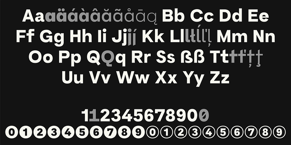 TG Pilgrima Office Font