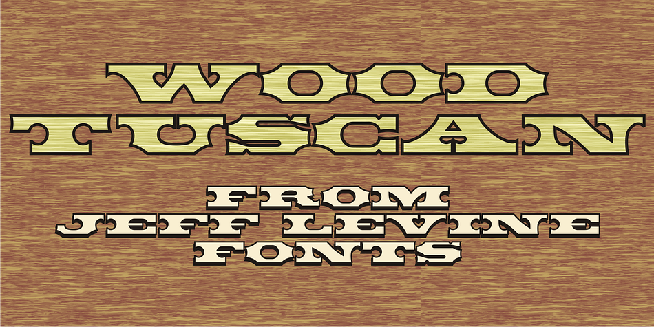 Wood Tuscan JNL is a bold, compressed serif font in the Tuscan style and was re-drawn from vintage wood type examples.