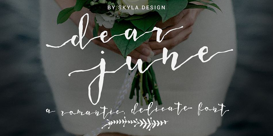 Dear June is a romantic, delicate, handwritten font.