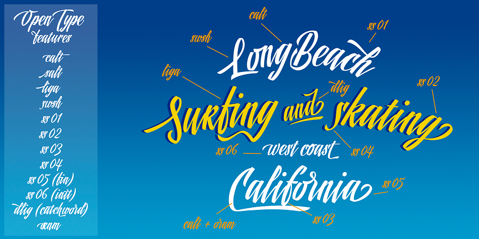 This brush style typeface is the perfect blend of elegance and spontaneity.