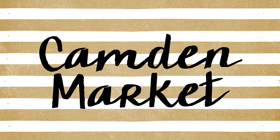 Highlighting the KG Camden Market Script font family.