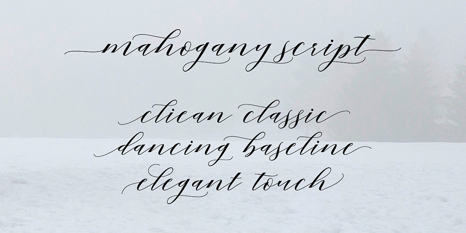 Opentype features with stylistic alternates, ligatures and multiple language support.