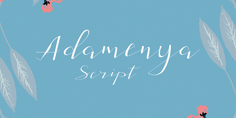 Adamenya Script is a modern calligraphy font with unique character, irregular baseline, and girly.