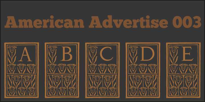 Displaying the beauty and characteristics of the American Advertise font family.