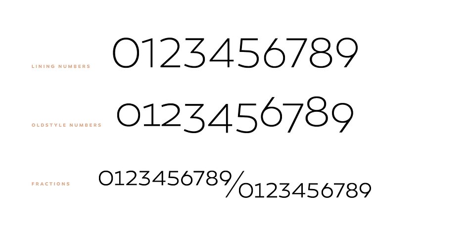 Displaying the beauty and characteristics of the Canaro font family.
