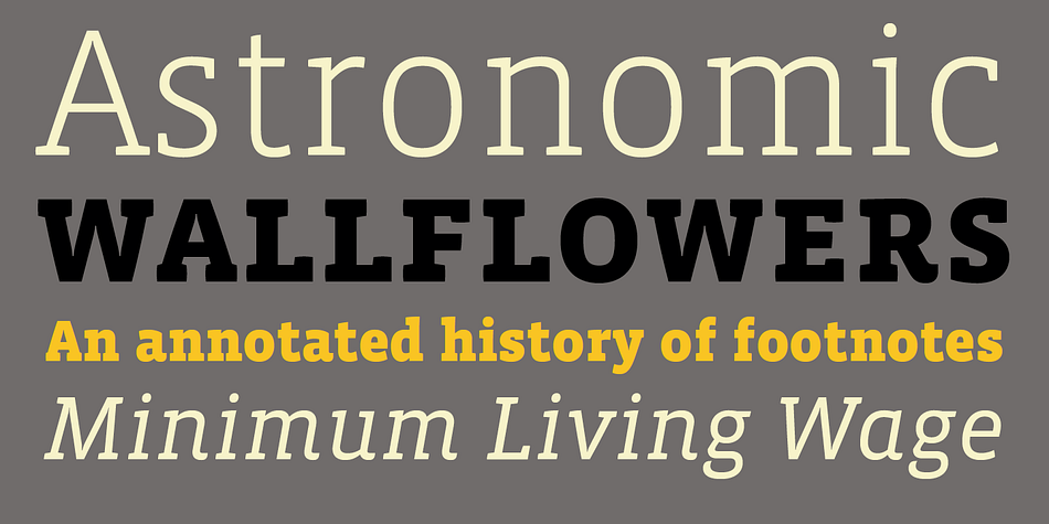 Displaying the beauty and characteristics of the Vista Slab font family.
