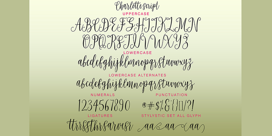 Charlotte Font