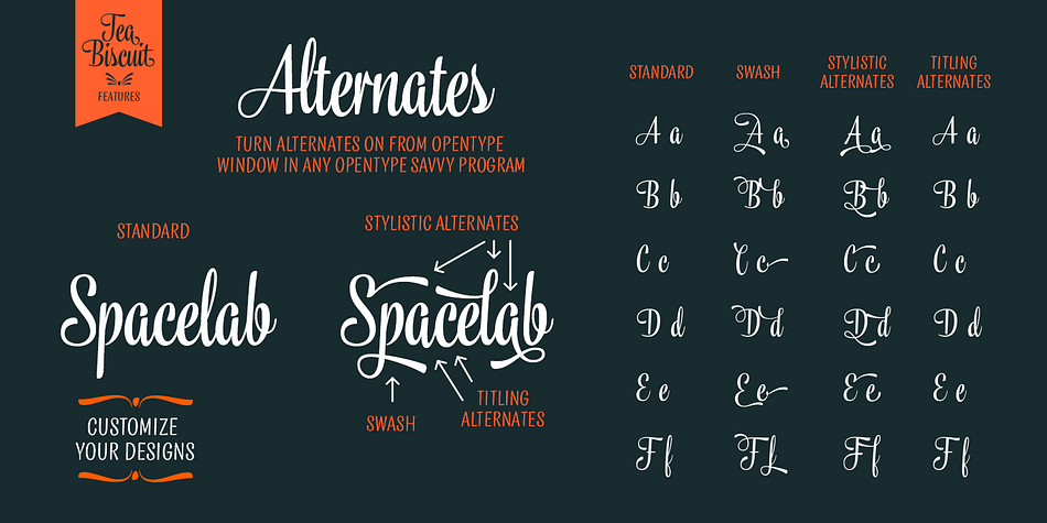 When the Standard Ligatures function is on, the font automatically chooses different letterforms on the fly, depending on which characters appear first.