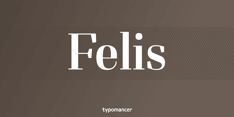 Displaying the beauty and characteristics of the Felis font family.