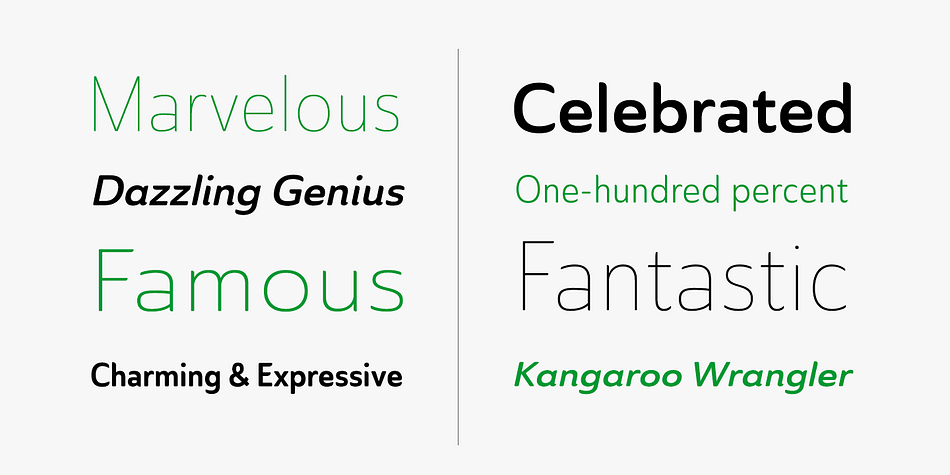 Unlike the original Ainslie family member, though, Ainslie Sans does away with much of the aboriginal-inspired touches by eliminating the semi-serifs, forcing the font to borrow more heavily than its predecessor from Canberra