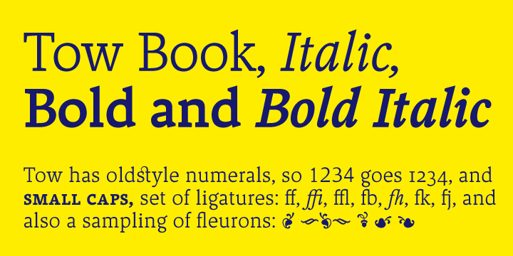 Displaying the beauty and characteristics of the Tow font family.