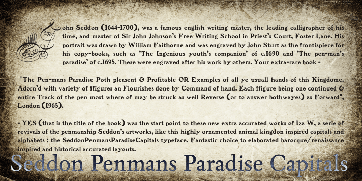 Seddon Penmans Paradise Capitals is a highly decorative display font great for posters and headline use.