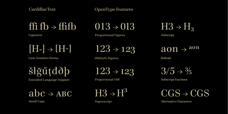 Designed by Dieter Hofrichter, Cardillac Text is a serif font family.