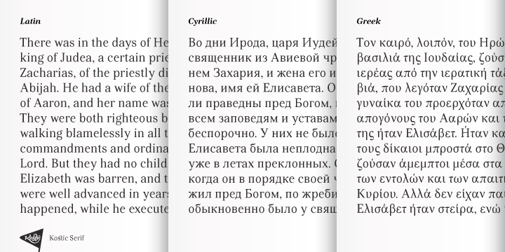 When they were both pleased with the new look of the font, they made Medium and decided to add CE and Greek script to the glyph set, to make it pan-european.