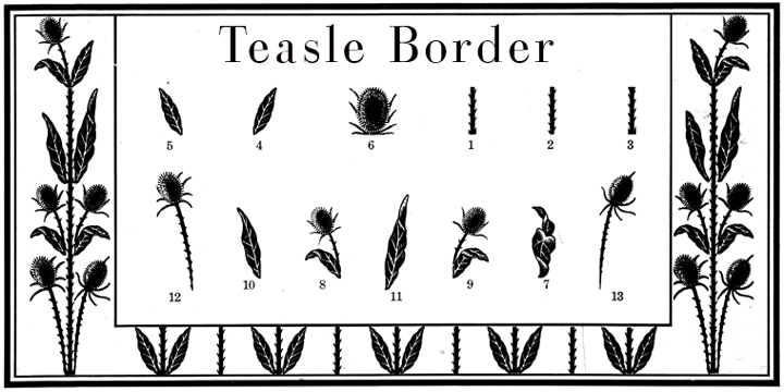 Displaying the beauty and characteristics of the Thistle Borders font family.