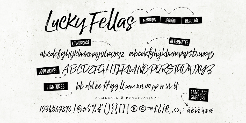 Designed by Nicky Laatz, Lucky Fellas is a dingbat, hand drawn and brush script font family.