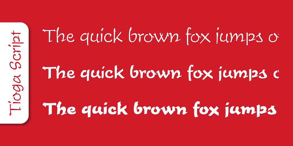 Case-sensitive punctuation signs for all-caps titles are included as well as many fractions, an extensive set of ligatures, and separate sets of tabular and proportional digits.