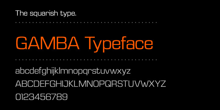 Displaying the beauty and characteristics of the Gamba font family.