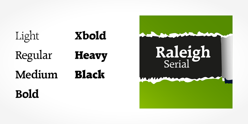 Highlighting the Raleigh Serial font family.