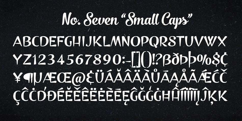 Seven OpenType features include Contextual Alternates, Oldstyle Figures, Standard Ligatures and Swashes.