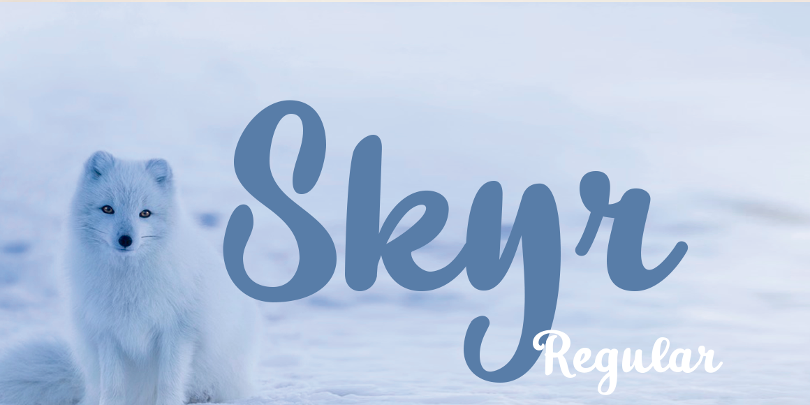 Skyr Basic