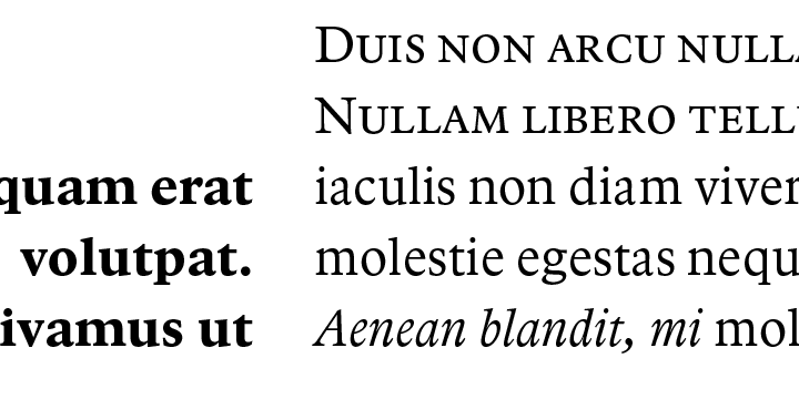 Highlighting the ArbescoDT font family.