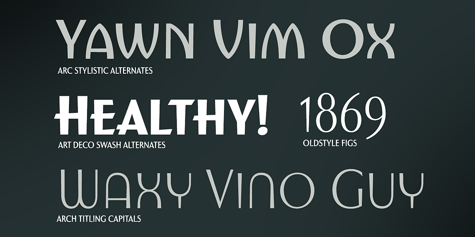 Displaying the beauty and characteristics of the Sabler Titling Condensed font family.