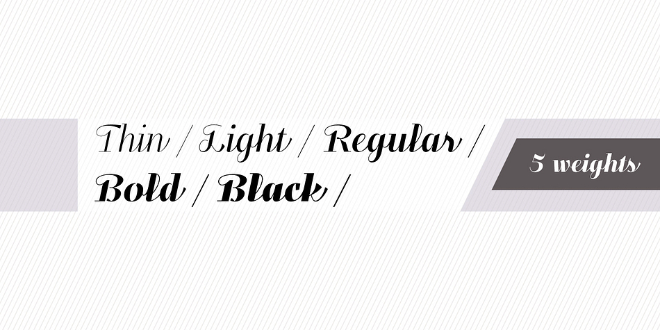 Emphasizing the favorited Felis Script font family.